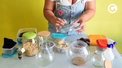 Como faz um terrário?