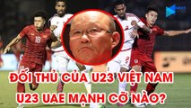 Phân tích U23 UAE - Đối thủ U23 Việt Nam tại VCK U23 châu Á 2020 | NEXT SPORTS
