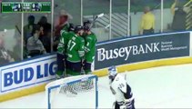 Game Recap - Jacksonville IceMen at Florida Everblades