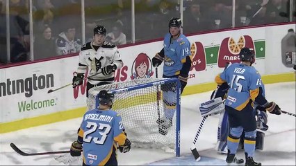 ECHL Wheeling Nailers 1 at Toledo Walleye 2