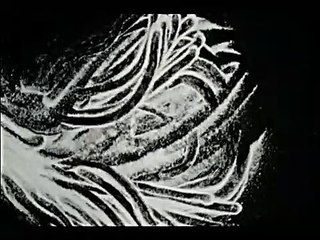 solstício de inverno