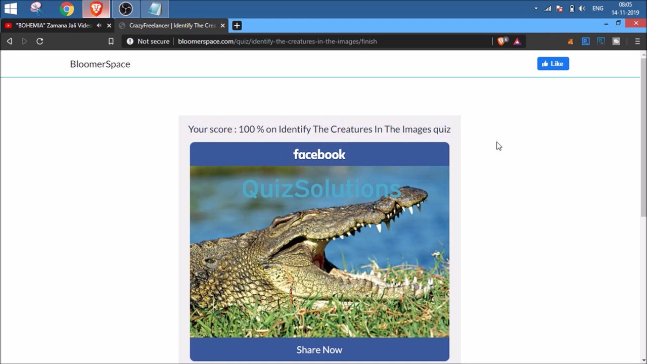Bloomerspace Identify The Creatures In The Images Answers 25 Questions Score 100% Video QuizSolutions
