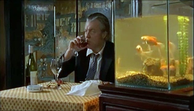 KOMMA a film by MARTINE DOYEN with ARNO