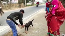 Locals save stray dog with head stuck in plastic tub