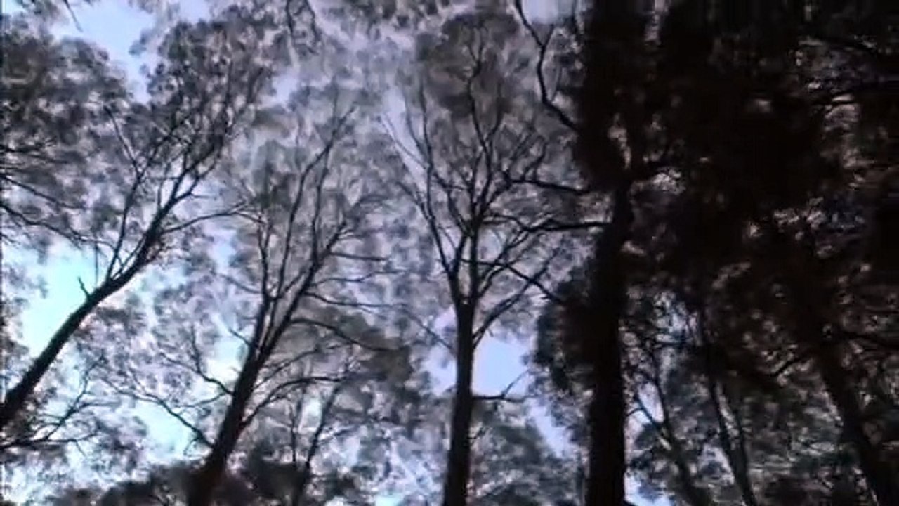 Dying Breed Trailer