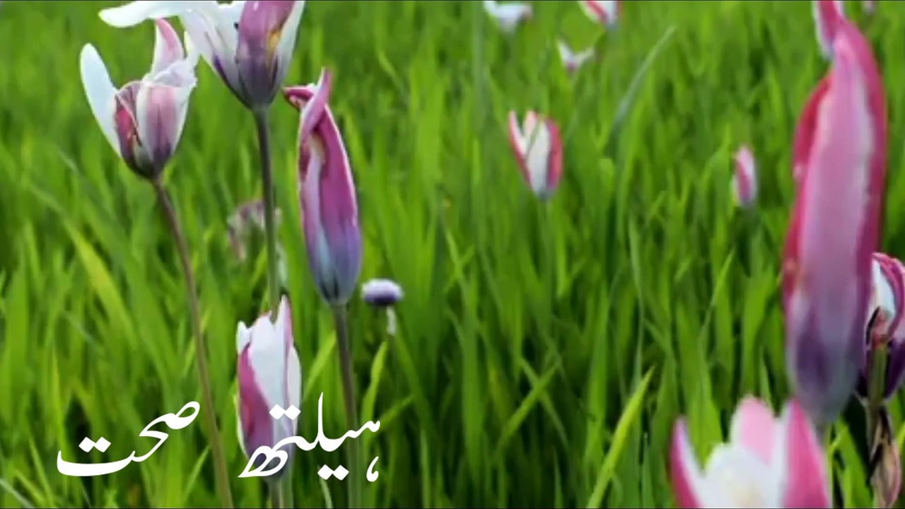 نفس کے ڈھیلے پن کا علاج|lun ya nafs kai Delai pan ka ilaj