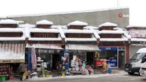Başkale Belediyesi karla mücadele ediyor