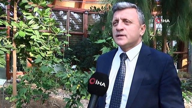 Türkiye’nin ilk ve tek Tıbbi ve Aromatik Bitkiler Merkezi’nde 15 çeşit bitki toplanıp işleniyor