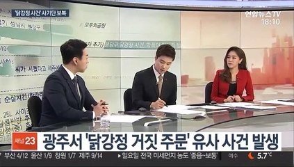 [토요와이드] '닭강정 거짓 주문', 대출 사기단의 보복