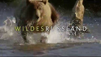Wildes Russland - Trailer Deutsch / German