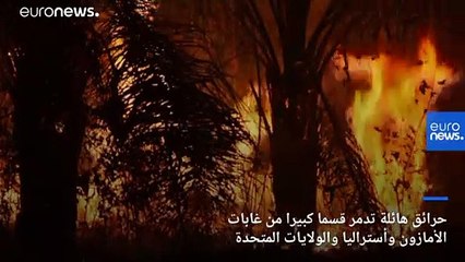 تعرف على مجموعة من الأحداث البيئية المرتبطة بتغير المناخ حلت بكوكبنا في عام 2019