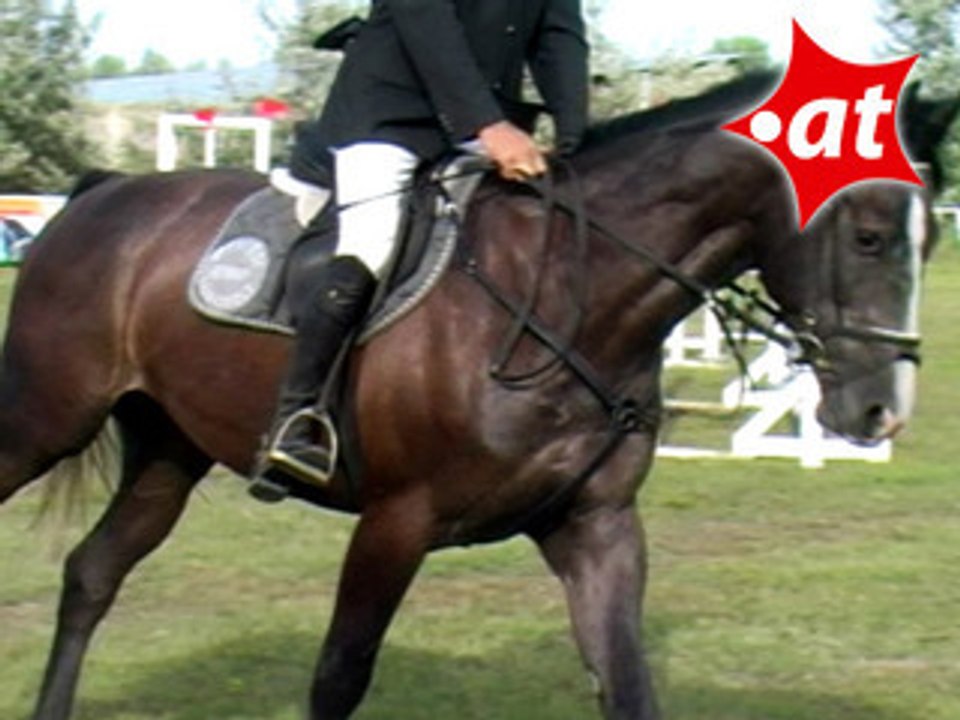 Jürgen Maier, Springreiten, Burgenland (2007-037)