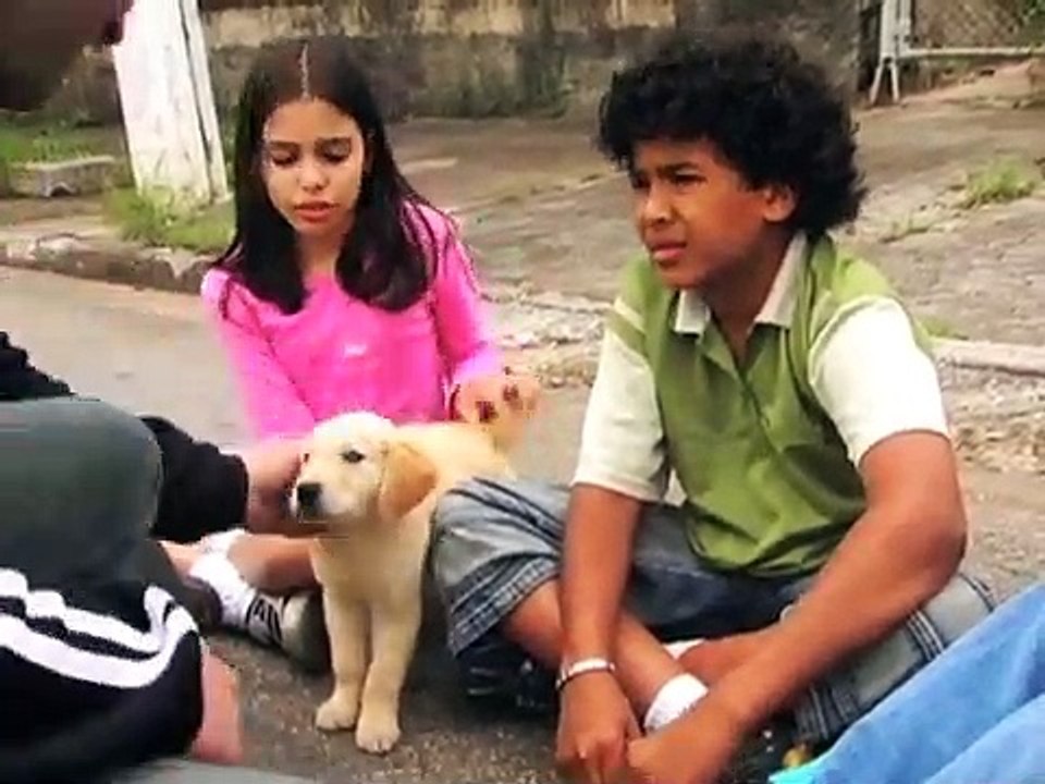 O Mistério do Cachorrinho Perdido
