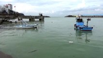 Batı Karadeniz'deki balıkçılar soğuk havadan umutlu