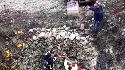 Kuyuya düşen eşek kepçeyle kurtarıldı
