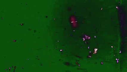 Green_Screen_Dust_Flare_Particles_Effects