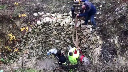 Kuyuya düşen eşek kepçeyle kurtarıldı - HATAY