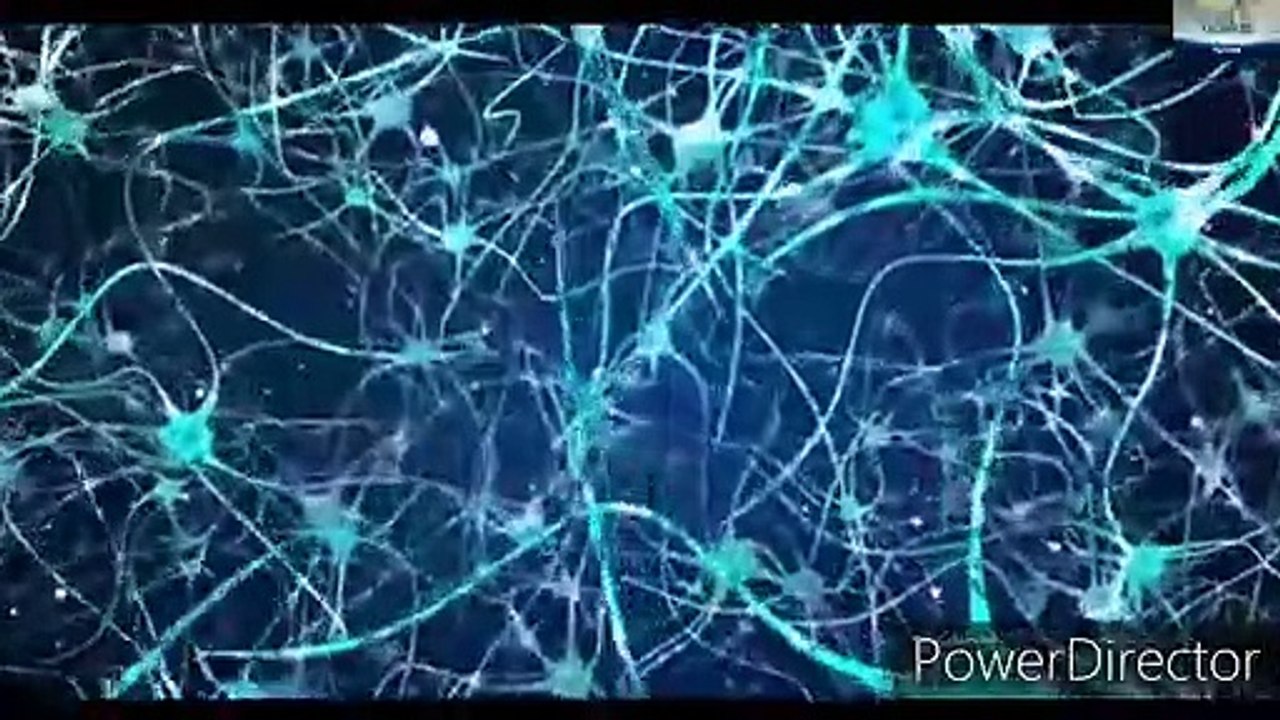 18 amazing facts about brain in Hindi