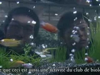 ichi littoru no namida episode 02 vostfr