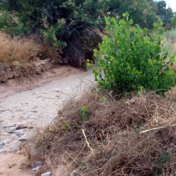 Mais qu'attendent ces 2 hommes dans ce lit de rivière à sec...