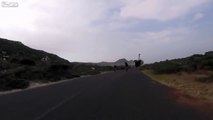 Ce cycliste est poursuivis par une autruche... pire qu'un dinosaure