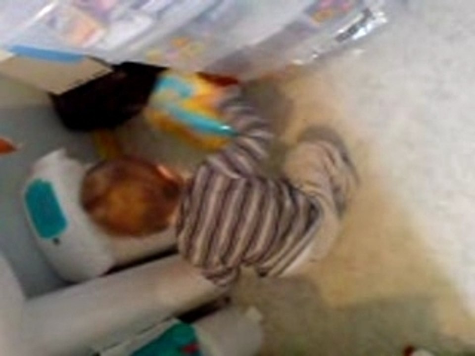 donne a manger a iris