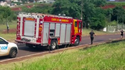 Fogo atinge grande área de vegetação às margens da rodovia BR-277