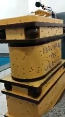 Hordas de hormigas invaden una iglesia