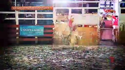 Micro Taurino 28 Diciembre 2019