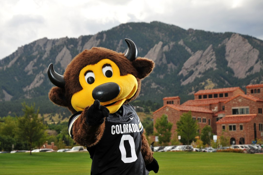 Chip, la mascota de Colorado Buffaloes, se pega...