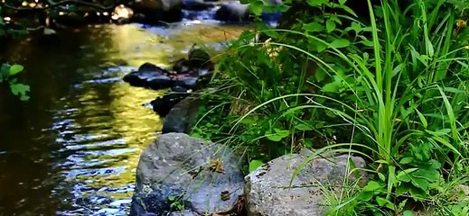 Relaxing Music Headache Relieving Music