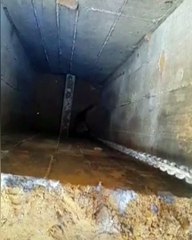 Kuyuya düşen kediyi kurtarmak için uğraşan güzel insanlar ve kedinin işbirliğine olumlu karşılık vermesi