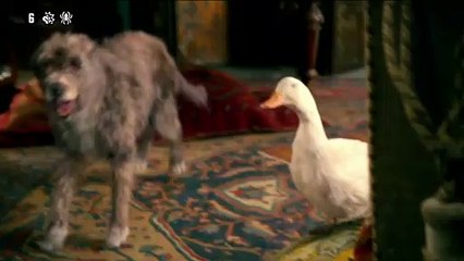 Dolittle Film - 15 januari in de bioscoop in 2D & 3D