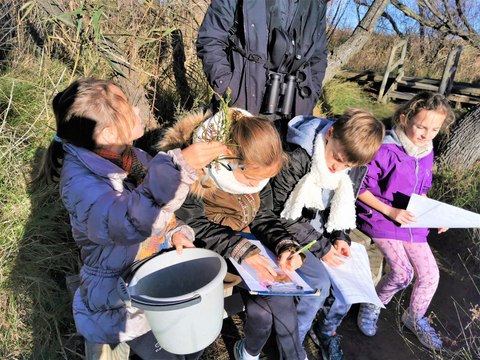 Vauvert : jeu de piste au centre de découverte du Scamandre