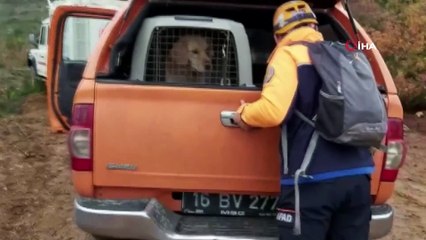 Kayıp olan çiftçi köpekli ekiplerle aranıyor