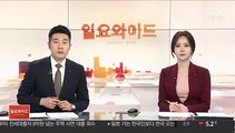 권은희 '기소권 없는 공수처' 수정안 제출…