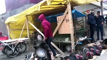 Iğdır’da “yılbaşı hindileri” pazarda yerini aldı