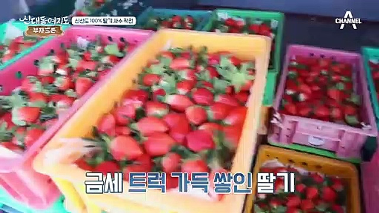 연 매출만 6억! 신선도 100% 달콤한 딸기 大공개!