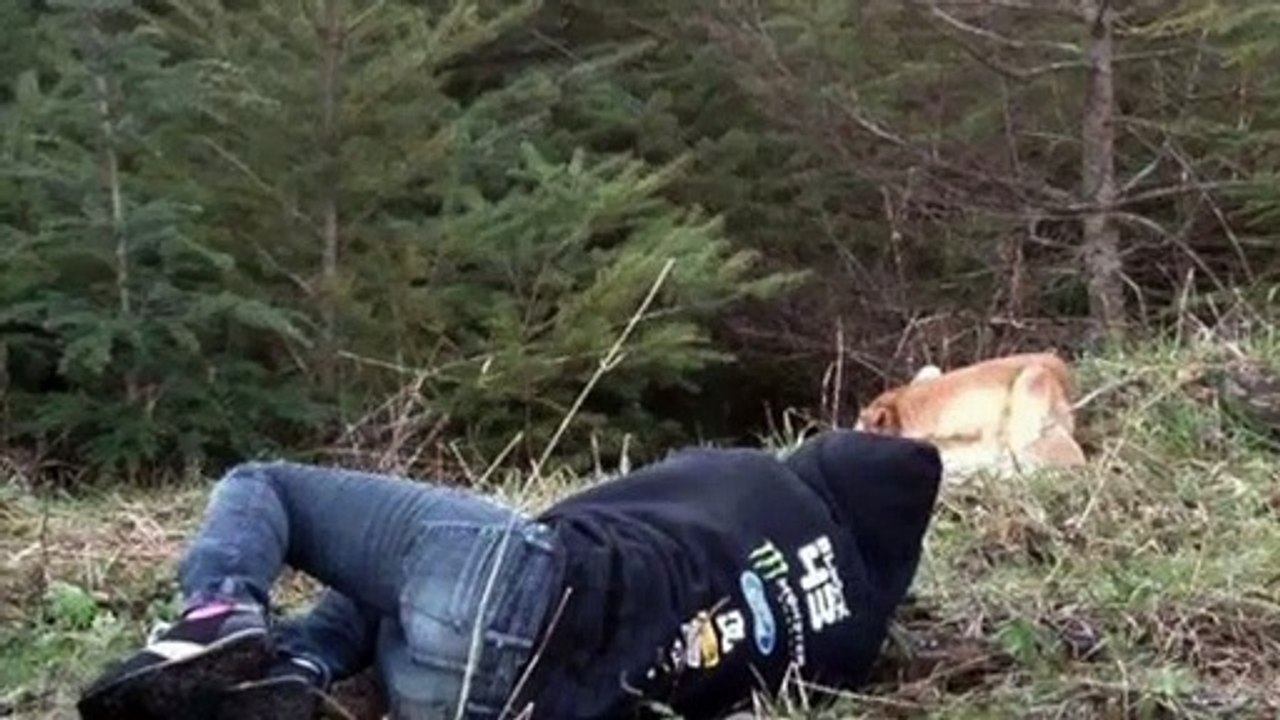 Elle s'effondre au sol devant un chien mourant....