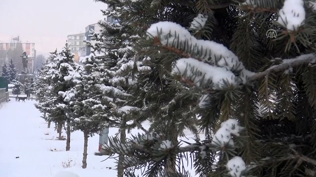 Doğu Anadolu'da kar yağışı - KARS
