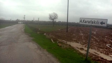 Bir köpeğin zehirlendiği iddiasına inceleme