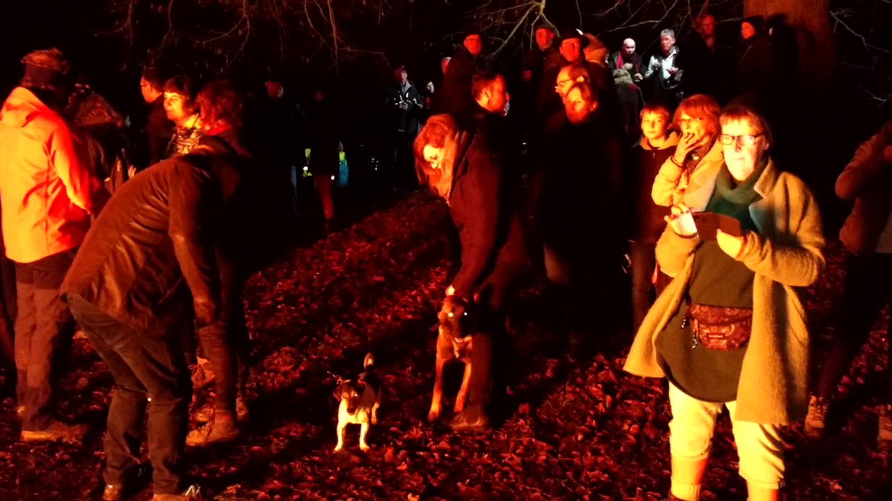 Mons. Un succès pour la marche de la Saint Sylvestre. Vidéo Eric Ghislain