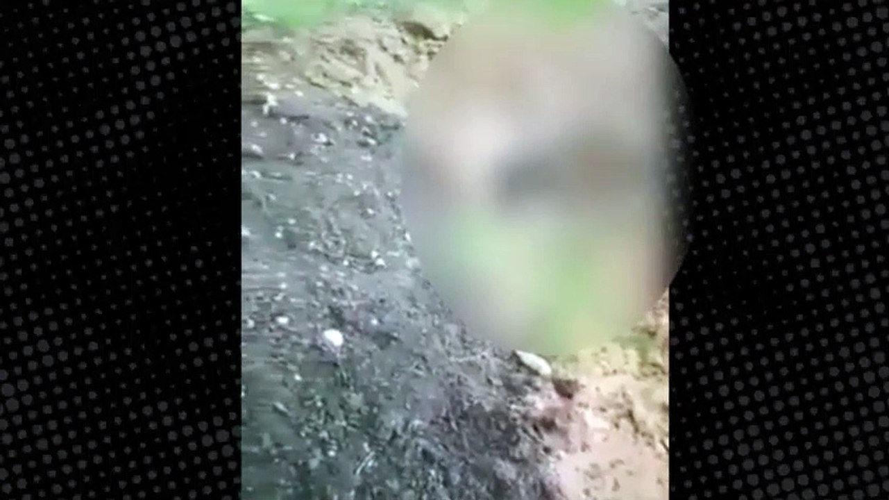 Bunu yapan insan olamaz! Zehirlenen köpek can ç...