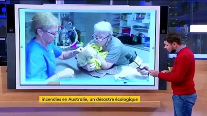 Australie : les incendies, cause d'un désastre écologique