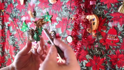 Holiday Dragons Series 3 12 Days of Christmas Video 1 Art Creation Day