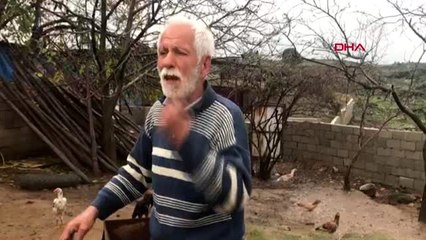 Hatay zehirlendiği öne sürülen köpeğin görüntüleri, tepki çekti-3