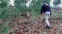 Ağaçlık alana gizlenen uyuşturucuyu narkotik köpeği buldu