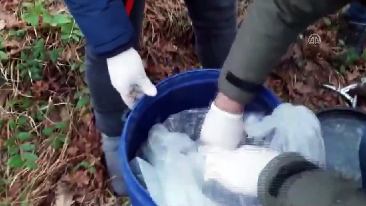 Ağaçlık alana gizlenen uyuşturucuyu narkotik köpeği buldu - BURSA