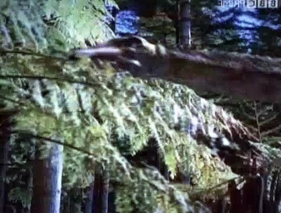 BBC - Horizon - 2006 - The Mystery Of The Jurassic