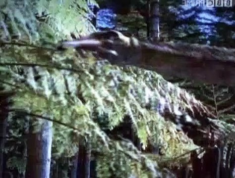 BBC - Horizon - 2006 - The Mystery Of The Jurassic
